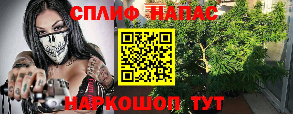 Бошки марихуана план  Вход с VPN  Бошки марихуана ГИДРОПОН  Подольск 